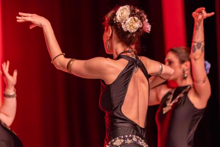 Območna revija plesnih skupin Finesa plesa 2024 (35)